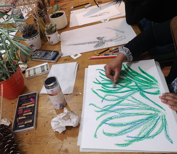 Project Lead, Sandpit Arts